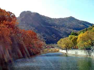 爱上海：Hidden Paradise Stroll： Explore the endless surprises hidden in Shanghai's backyard!