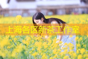 上海新茶工作室：必须试过！上海新茶工作室的独特创意茶饮！