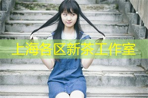 上海新茶工作室：解锁城市秘密——揭开上海后花园的神秘面纱