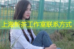 上海新茶工作室联系方式：互助新起点金融公司