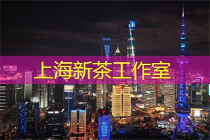 上海新茶工作室微信：上海论坛为你解密：城市发展秘笈大公开！