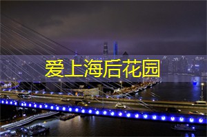 阿拉爱上海：茶饮时间，上海茶庄的悠久传统